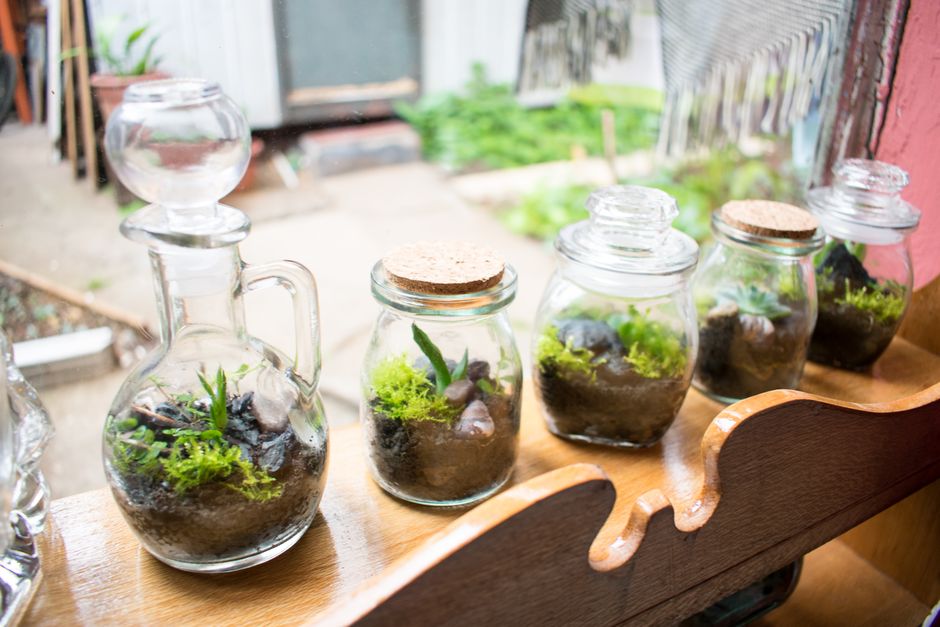 Lembrancinha DIY de mini terrário em potinho de vidro para festa infantil