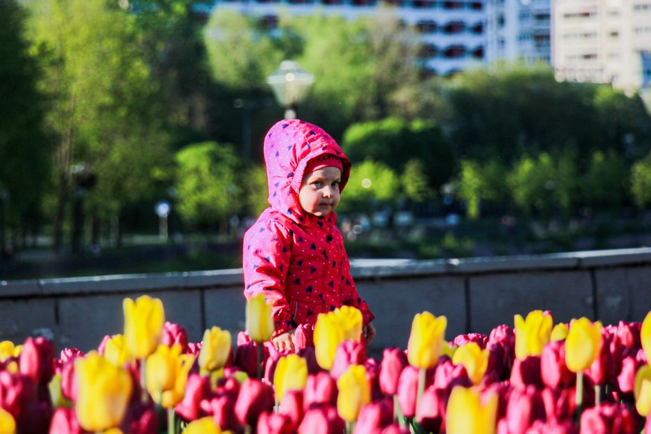 5 Atividades de Primavera para Fazer em Casa com Crianças