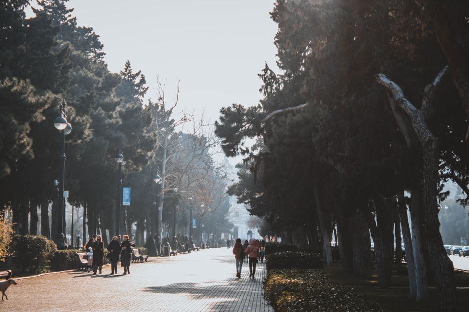Família caminhando entre árvores altas em um parque da cidade