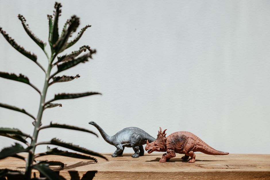 Dinossauros de brinquedo enfileirados no centro da mesa entre folhagens
